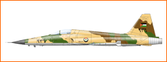 avion_img_petit