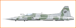 avion_img_petit