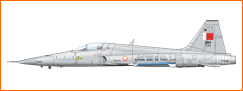 avion_img_petit